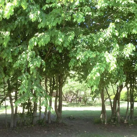 Lägenhet In 36531 *